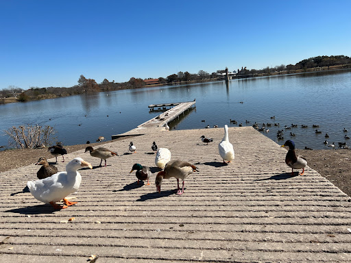 Park «Woodlawn Lake Park», reviews and photos, 1103 Cincinnati Ave, San Antonio, TX 78201, USA