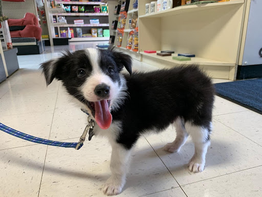 Pet Supply Store «Market Place Pet Supplies», reviews and photos, 7200 Dixie Hwy, Village of Clarkston, MI 48346, USA