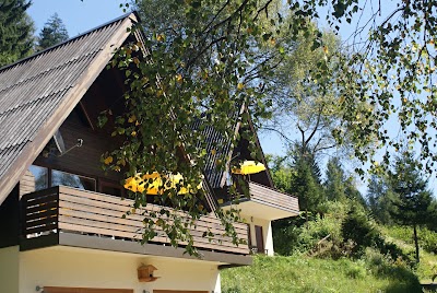 lodging