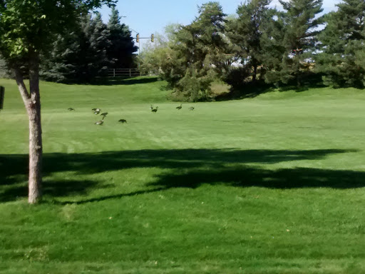 Park «Olympic Park», reviews and photos, 15501 E Yale Ave, Aurora, CO 80013, USA