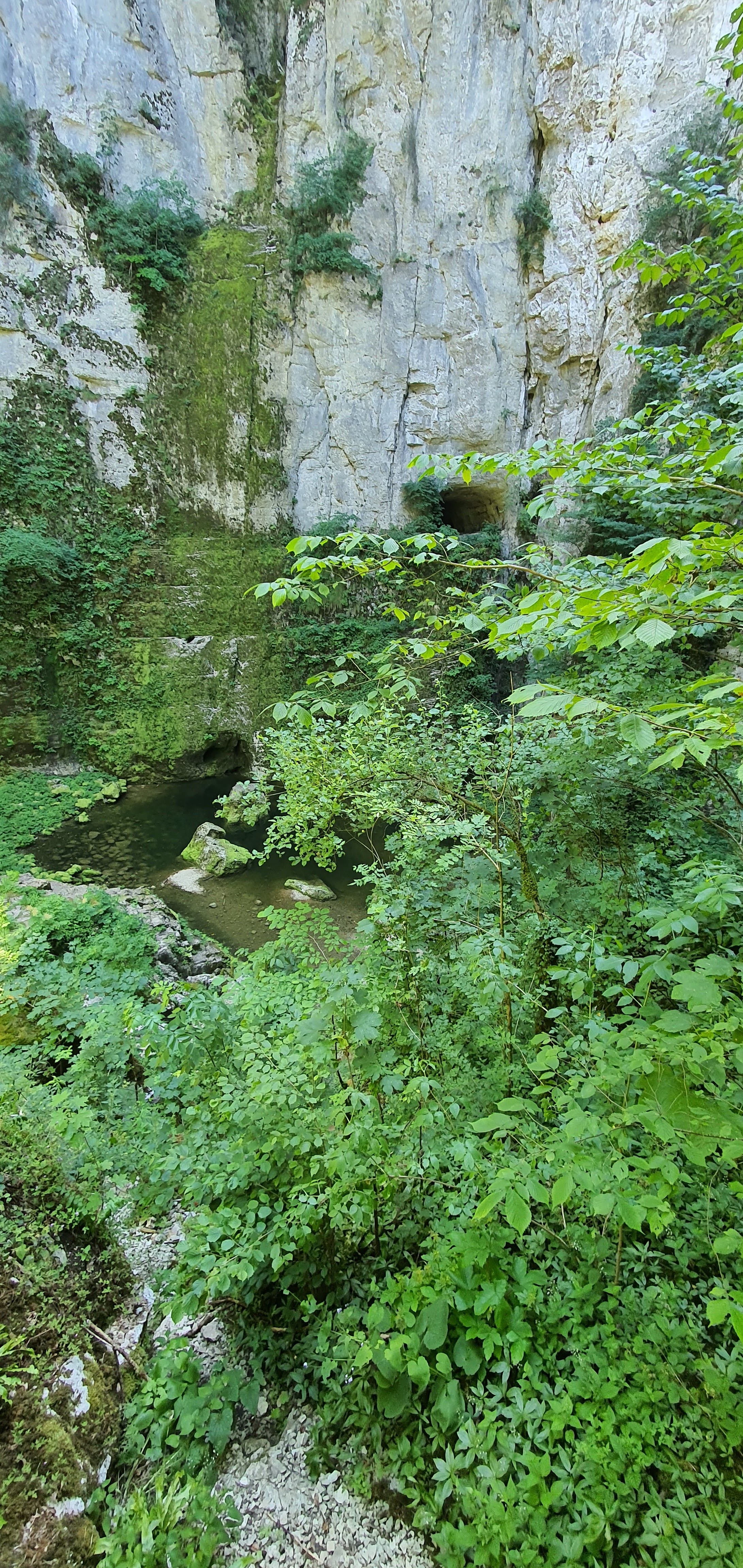 Photo n° 3 de l'avis de Thierry.e fait le 18/07/2020 à 17:32
