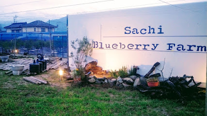 幸（Sachi）Blueberry Farm かき氷