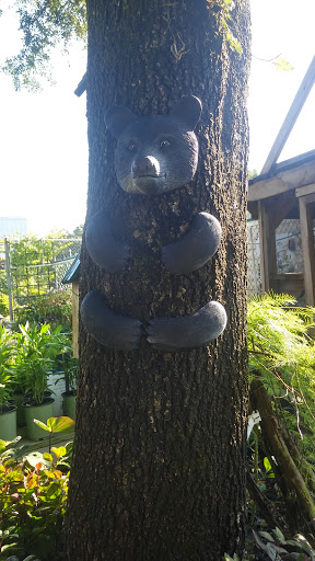 Hardware Store «Hagan Ace Hardware», reviews and photos, 12501 San Jose Blvd, Jacksonville, FL 32223, USA