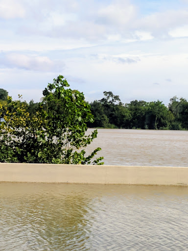 Park «Terry Hershey Park», reviews and photos, 15200 Memorial Dr, Houston, TX 77079, USA