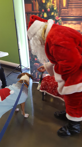 Pet Supply Store «Pet Supplies Plus», reviews and photos, 9430 W 159th St, Orland Park, IL 60467, USA