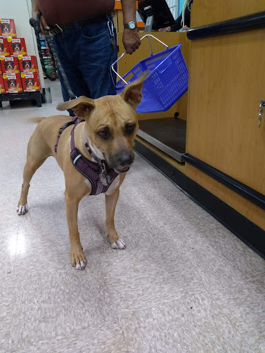 Pet Supply Store «PetSmart», reviews and photos, 1836 Joe Battle Blvd, El Paso, TX 79936, USA