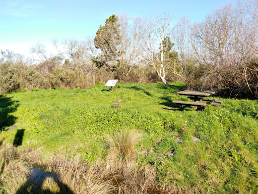 Bird Watching Area «Arcata Marsh Interpretive Center», reviews and photos, 569 S G St, Arcata, CA 95521, USA