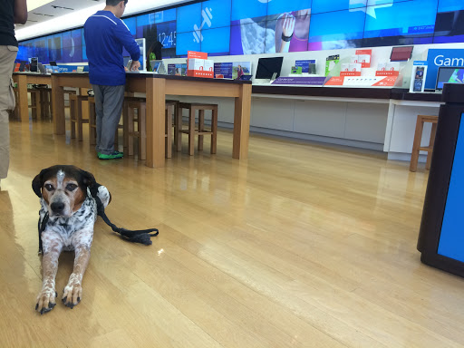 Computer Store «Microsoft Store», reviews and photos, 7007 Friars Rd #860, San Diego, CA 92108, USA