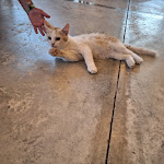 Photo n°6 de l'avis de Sissy8081. fait le 26/08/2023 à 05:37 sur le  Agriturismo Chiai Francesco à Bari Sardo