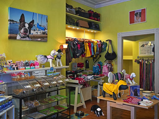 Pet Store «Pawsh Dog Boutique», reviews and photos, 31 Gloucester St, Boston, MA 02115, USA