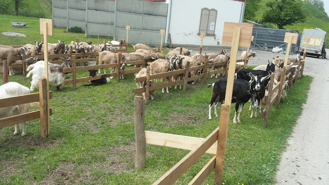 tierklinik-nesslau.ch