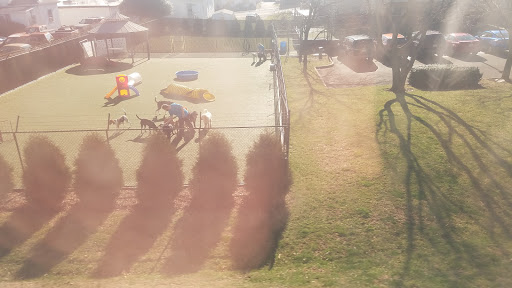 Kennel «Pampered Pets», reviews and photos, 601 Concord Ave, Charlottesville, VA 22903, USA