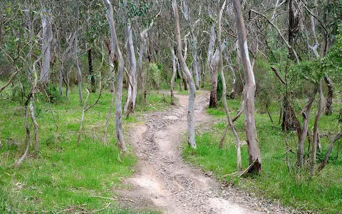 Candlebark Park image