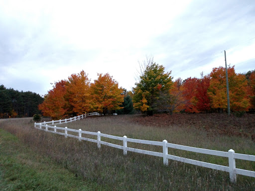 Public Golf Course «Manitou Passage Golf Club», reviews and photos, 4600 S Club Dr, Cedar, MI 49621, USA