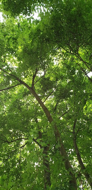 Hereth Park - photo 39