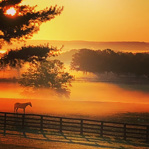 Day Spa «Miracles Day Spa», reviews and photos, 814 Hoagerburgh Rd, Wallkill, NY 12589, USA