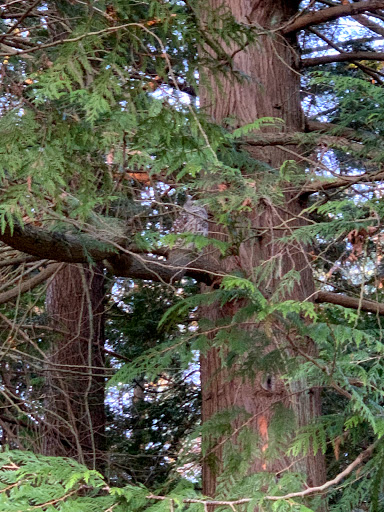 Water Park «Rotary Centennial Water Playground», reviews and photos, 802 E Mukilteo Blvd, Everett, WA 98203, USA