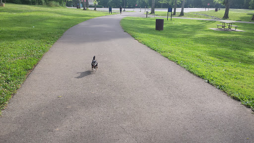 Park «Gregory Mill Park», reviews and photos, 390 Enon Springs Rd E, Smyrna, TN 37167, USA