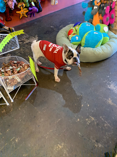 Pet Supply Store «Goin To the Dogs & Cats Pet», reviews and photos, 814 Wellman Ave NE, Huntsville, AL 35801, USA