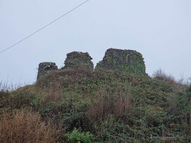 Plympton Castle - Other