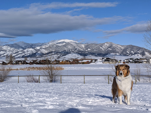 Animal Park «Dog Park At Gallatin County Regional Park (13 Acre w Pond)», reviews and photos, 3900 Baxter Ln, Bozeman, MT 59718, USA