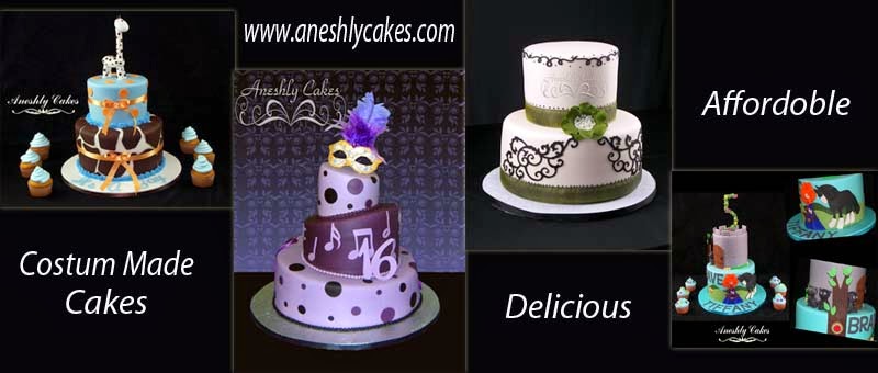 Aneshly Cakes