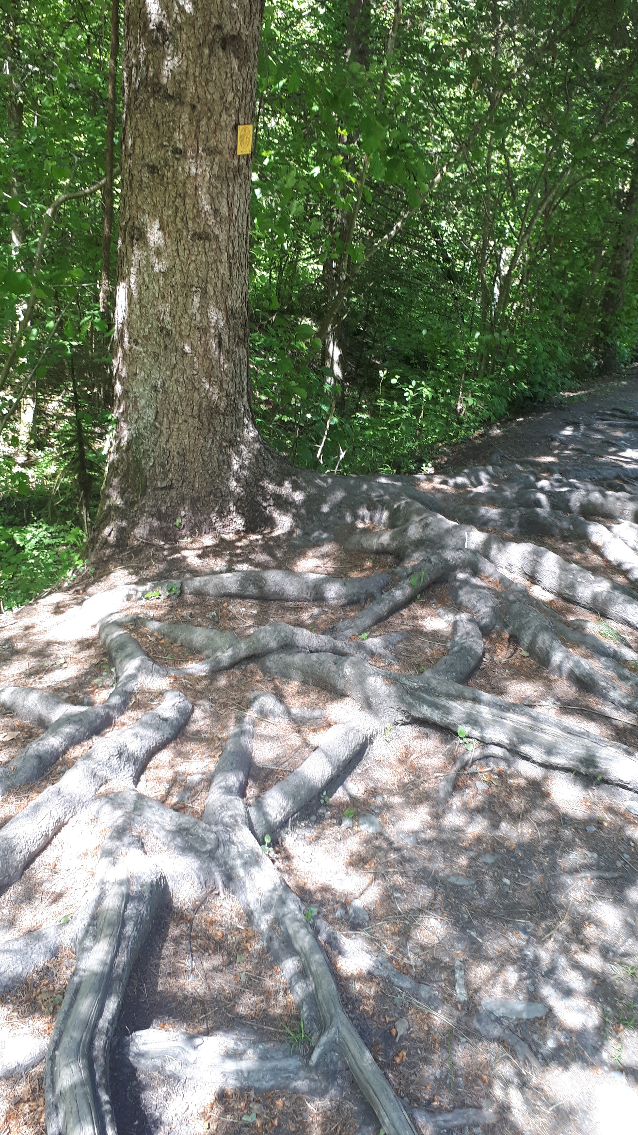 Photo n° 1 de l'avis de Stephanie.e fait le 30/05/2021 à 15:09