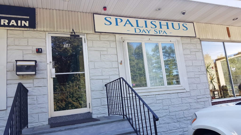 Spalishus 10993