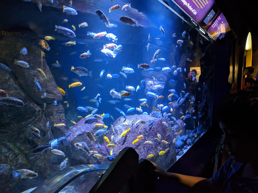 Aquarium «New York Aquarium», reviews and photos, 602 Surf Ave, Brooklyn, NY 11224, USA