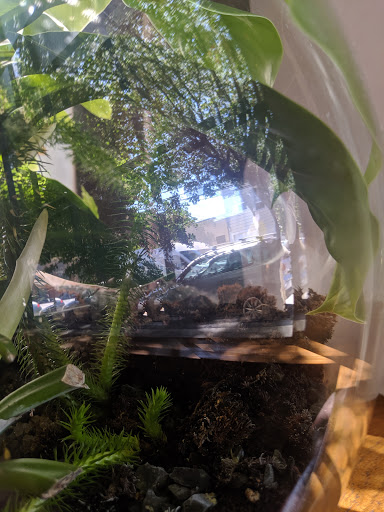 Coffee Shop «Sightglass Coffee», reviews and photos, 3014 20th St, San Francisco, CA 94110, USA