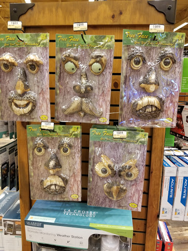 Sporting Goods Store «Bass Pro Shops», reviews and photos, 1000 Bass Pro Dr NW, Altoona, IA 50009, USA