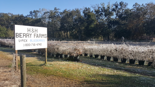 H&H Berry Farm