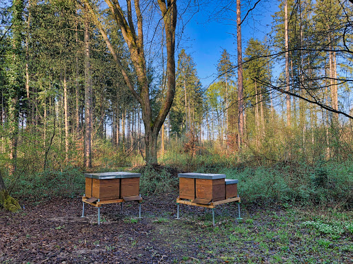 Imkerei Lye - Naturbelassener Honig aus München-Hadern und Umgebung