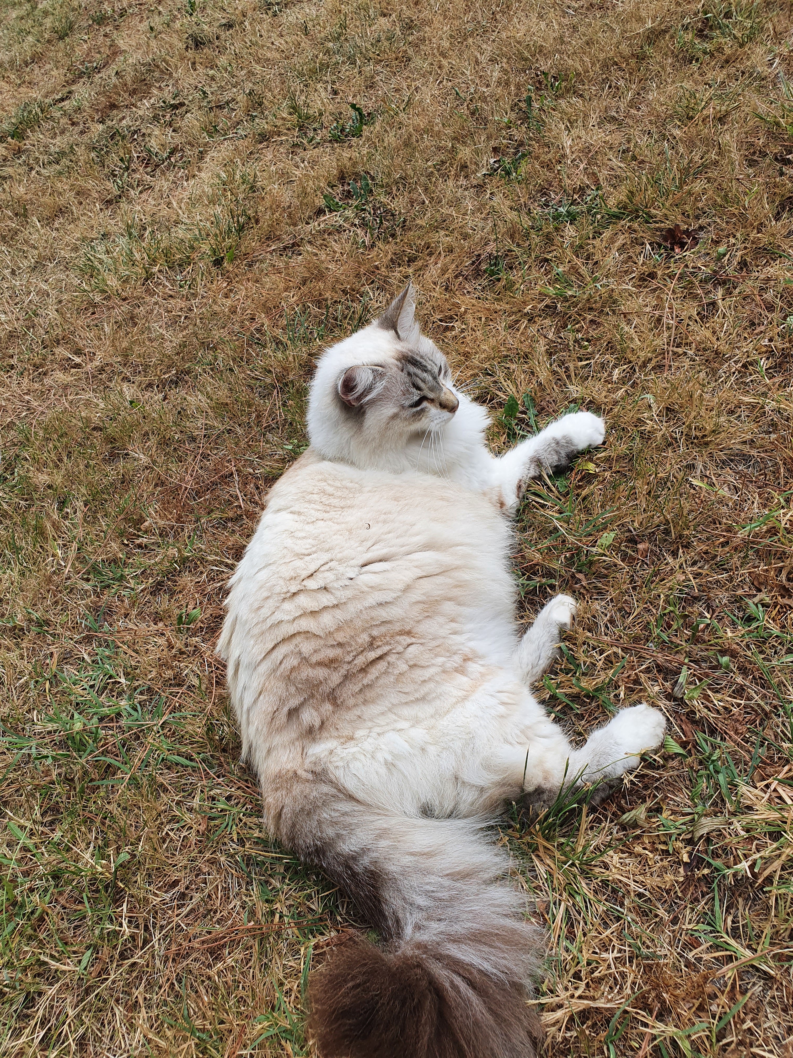 Photo n° 1 de l'avis de Élise. fait le 23/07/2020 à 18:26