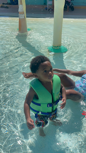 Public Swimming Pool «Sulphur Springs Pool», reviews and photos, 701 E Bird St, Tampa, FL 33604, USA