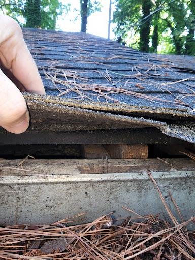 Pest Control Service «Attic Kings», reviews and photos