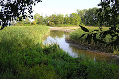 Rattray Marsh Conservation Area