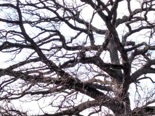 Park «Shadow Falls Park», reviews and photos, 30 N Mississippi River Blvd, St Paul, MN 55104, USA