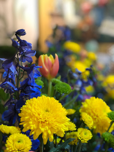 Plant Nursery «Potomac Petals and Plants», reviews and photos, 9545 River Rd, Rockville, MD 20854, USA