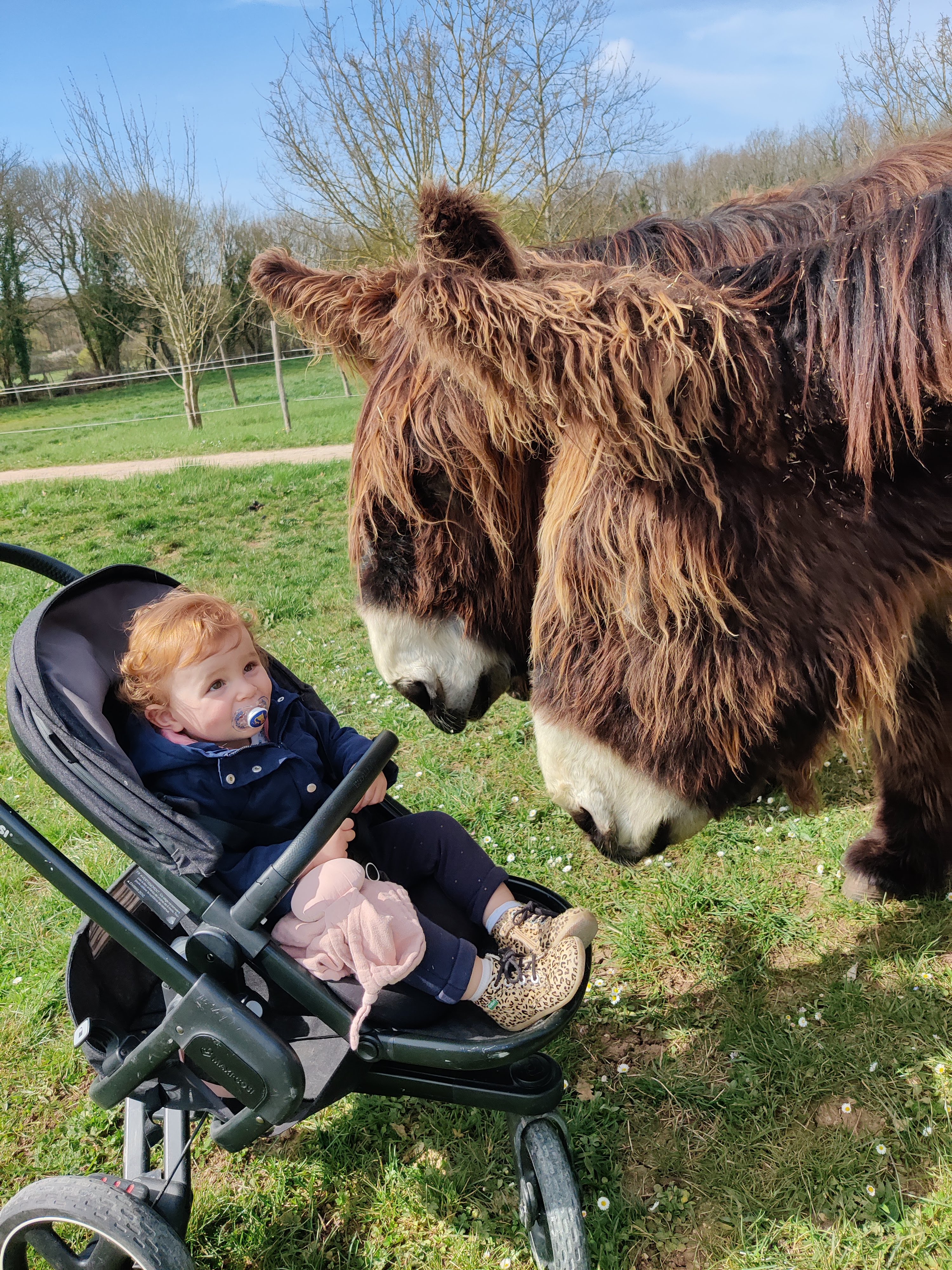 Photo n° 4 de l'avis de Yolaine.A fait le 25/03/2022 à 14:37