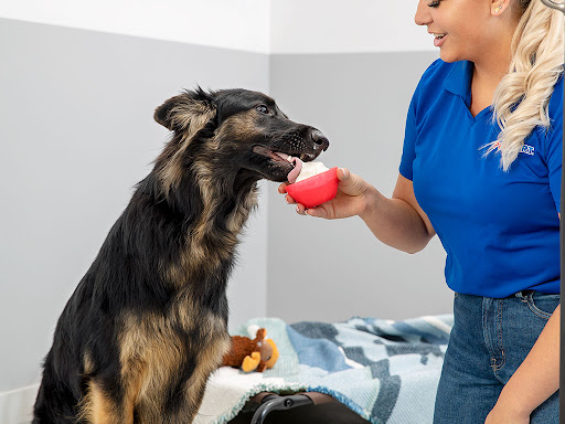 Pet Supply Store «PetSmart», reviews and photos, 1705 Mall of Georgia Blvd, Buford, GA 30519, USA