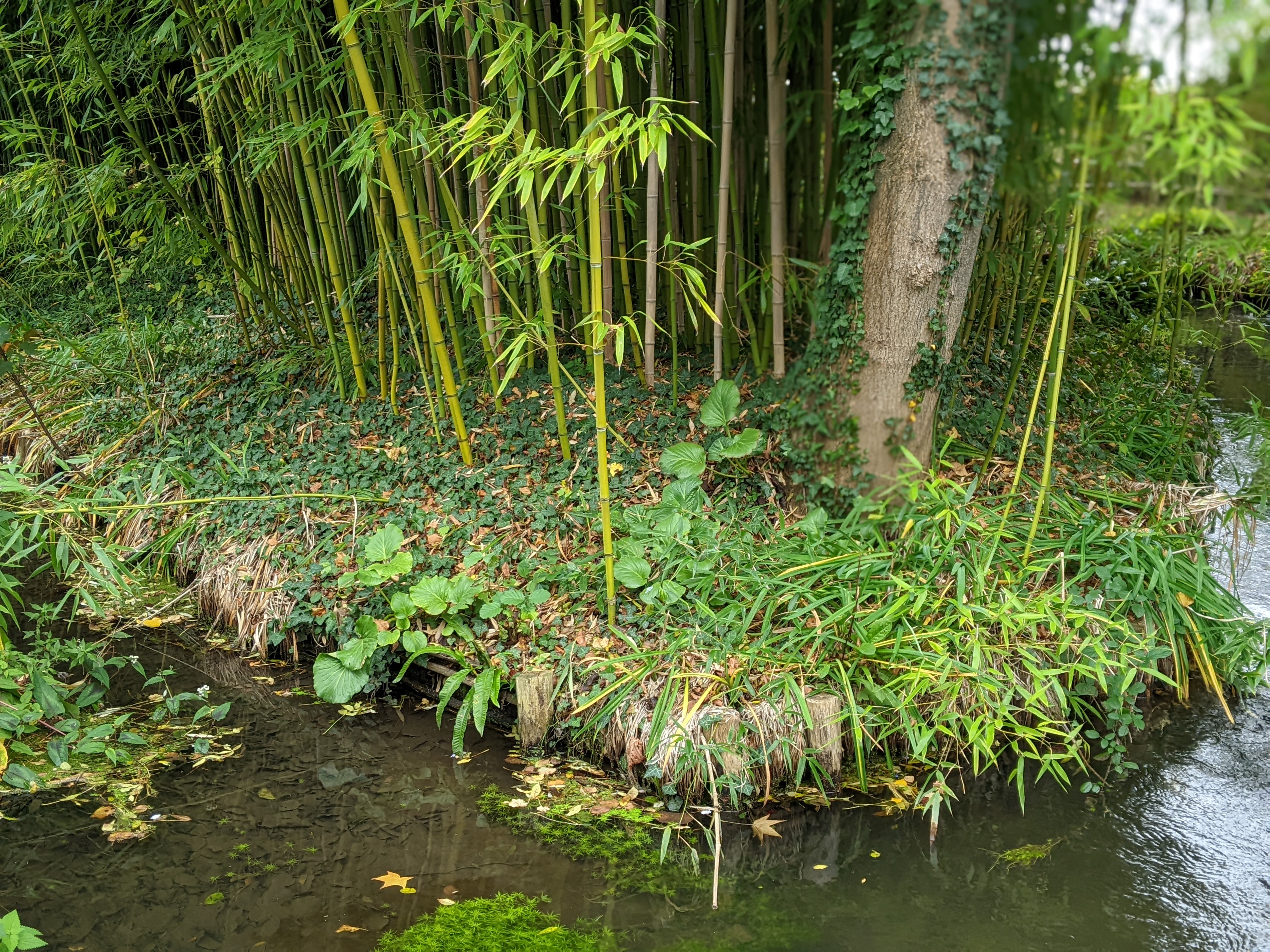 Photo n° 9 de l'avis de konrad.a fait le 08/11/2022 à 15:06