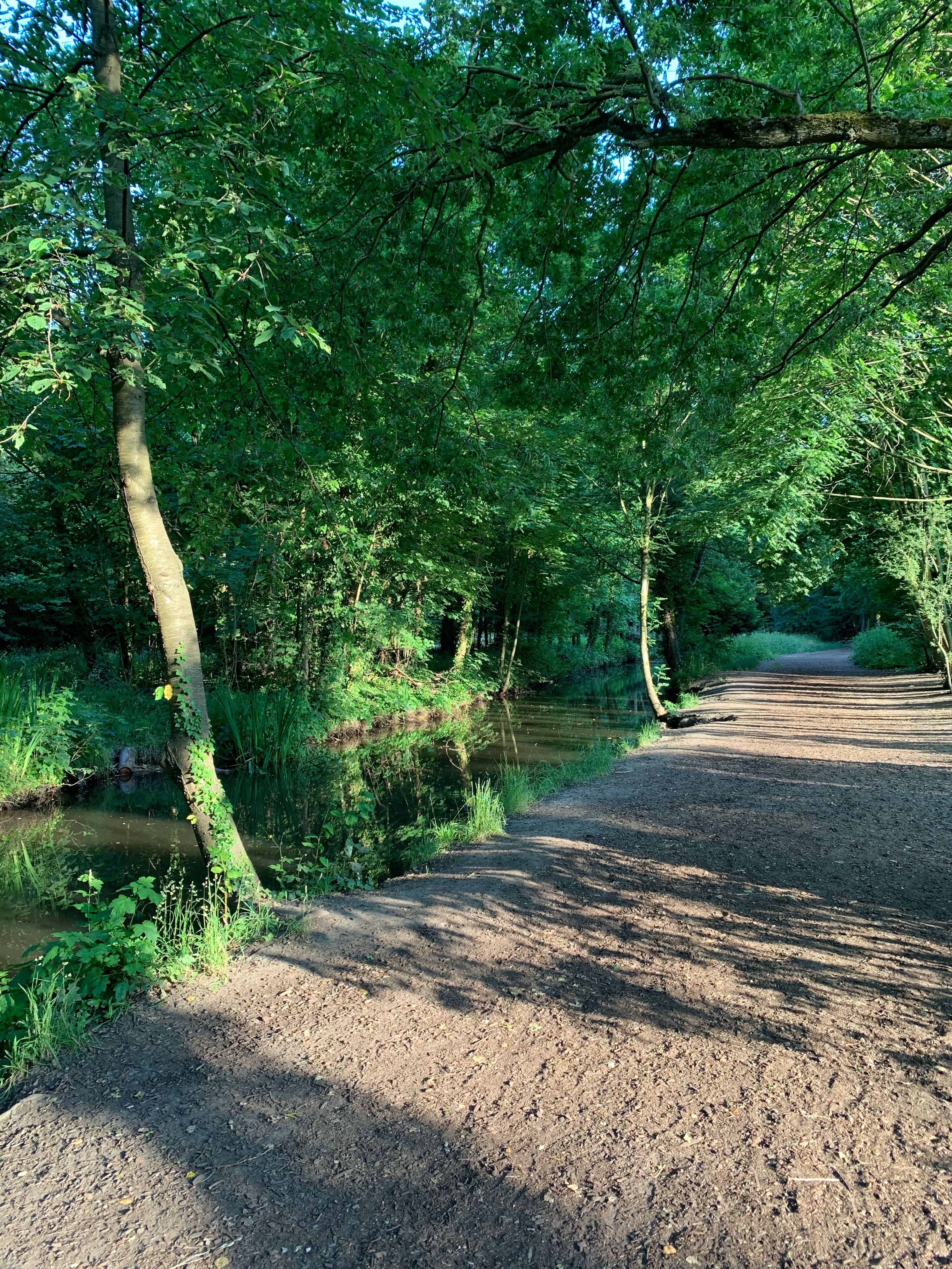 Photo n° 1 de l'avis de youssef.b fait le 29/07/2023 à 23:07
