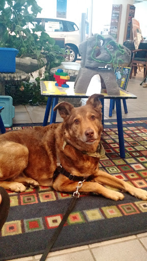 Car Dealer «Dan Perkins Subaru», reviews and photos, 1 Boston Post Rd, Milford, CT 06460, USA