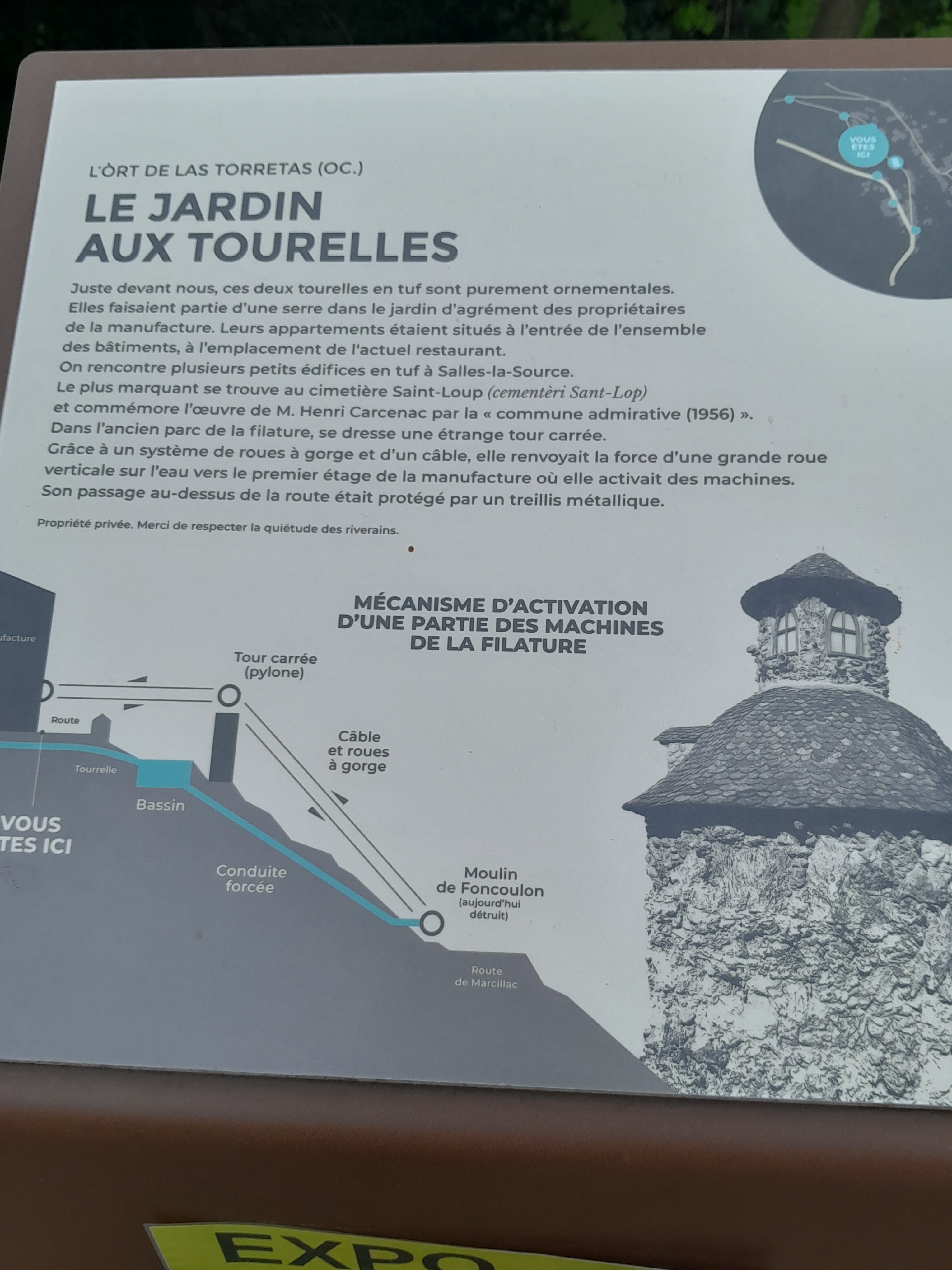 Photo n° 5 de l'avis de Grenouille.e fait le 16/07/2023 à 13:58
