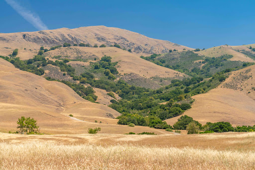 Team Schuler Compass Oakland Berkeley Alameda Real Estate Agent SF Bay Area Realtor image