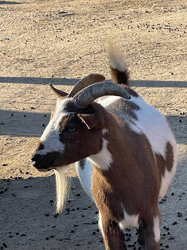 Zoo «Red River Zoo», reviews and photos, 4255 23rd Ave S, Fargo, ND 58104, USA