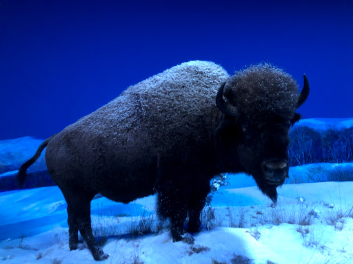 Museum «Pennsylvania National Fire Museum (The)», reviews and photos, 1820 N 4th St, Harrisburg, PA 17102, USA