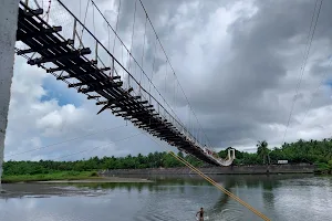 Zabali Hanging Bridge image