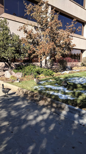 Association or Organization «United Services Automobile Association», reviews and photos